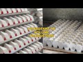 Stock and Custom Optics Manufacturing Capabilities