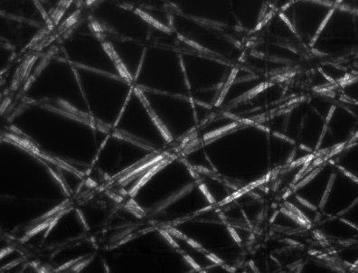 Polarization-Contrast Image of Tissue Paper