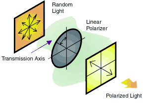 Understanding Polarization Axis
