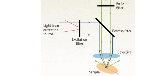 Optics optimizes fluorescences