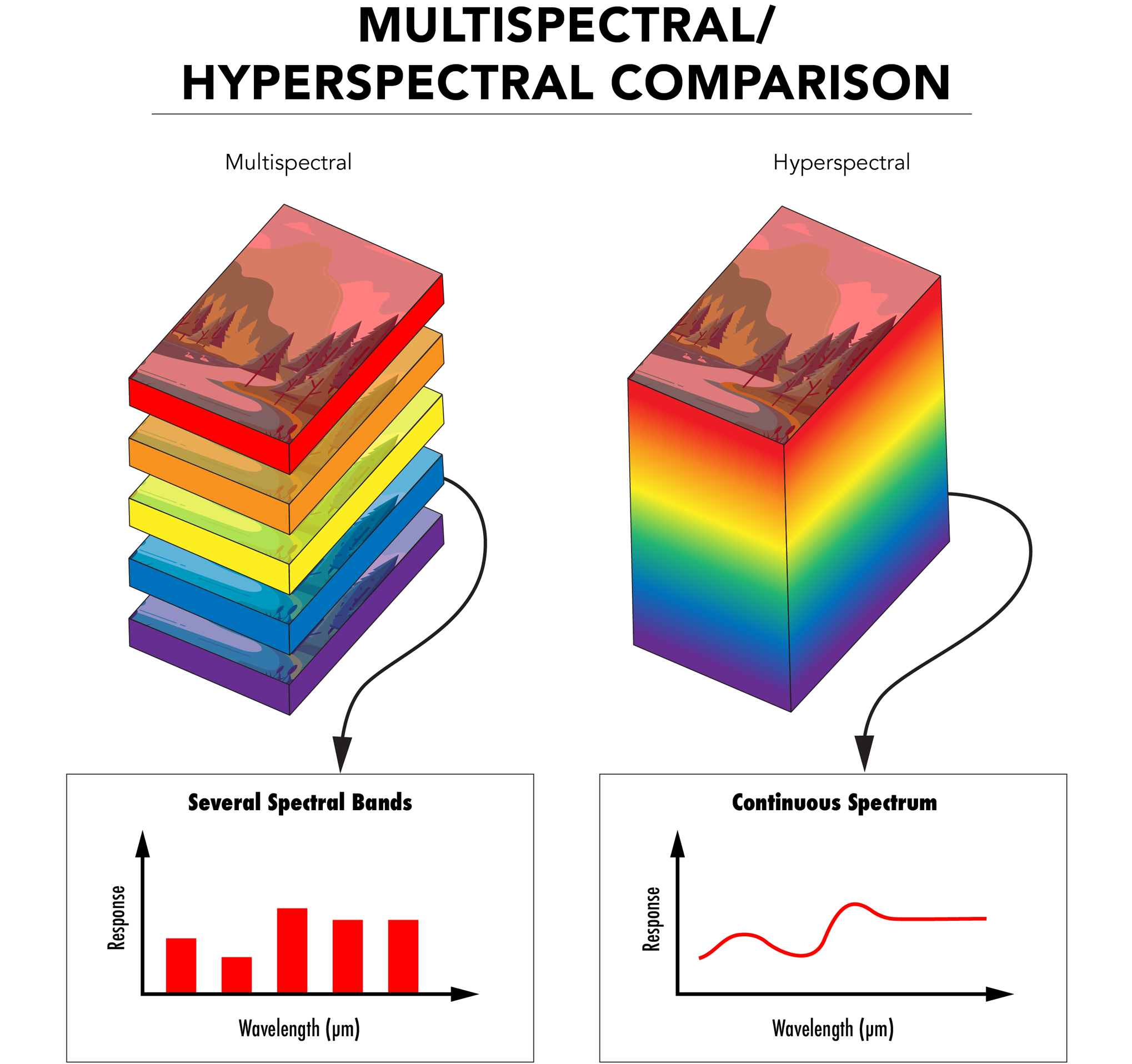多光谱（MS）和高光谱（HS）成像的区别在于波长信息是分别以离散方式还是连续方式表示。