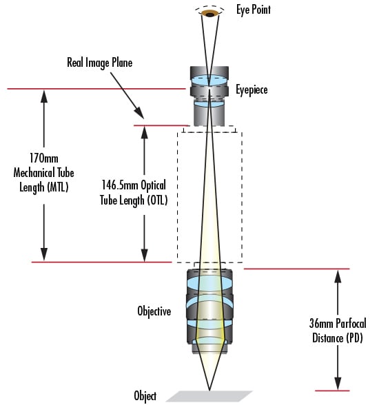 了解显微镜和物镜 爱特蒙特光学