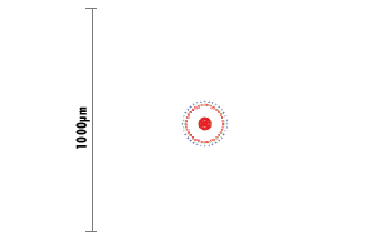 Spot Diagram of 25mm Dia. x 30mm FL Achromatic Lens