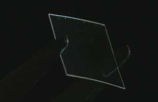 Everix Filters