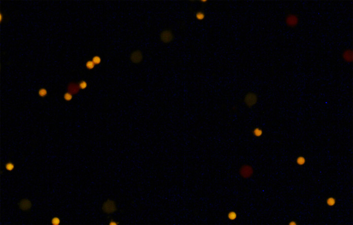 Fluorescence Microscopy using an OD 4 Filter